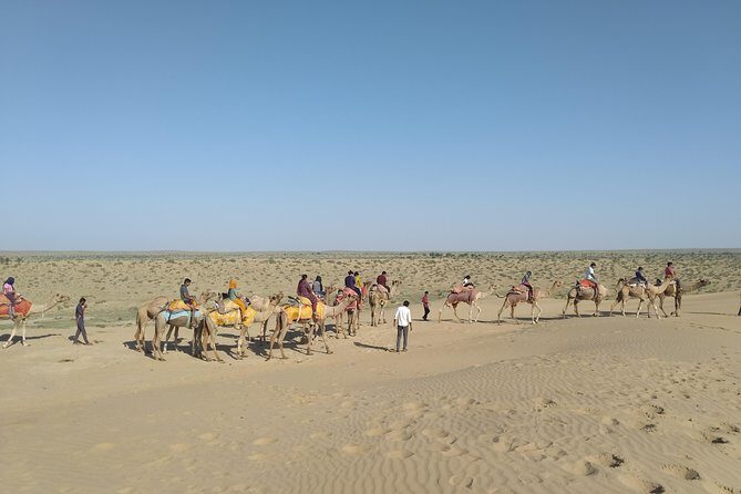 Camel Safari - A Closer Look at the Camel Safari Experience