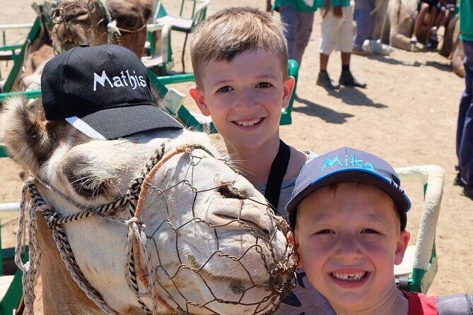 Camel Safari through the Dunes of Maspalomas - The Sum Up