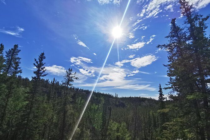 Cameron Falls Hiking Tour - Practical Tips for Travelers