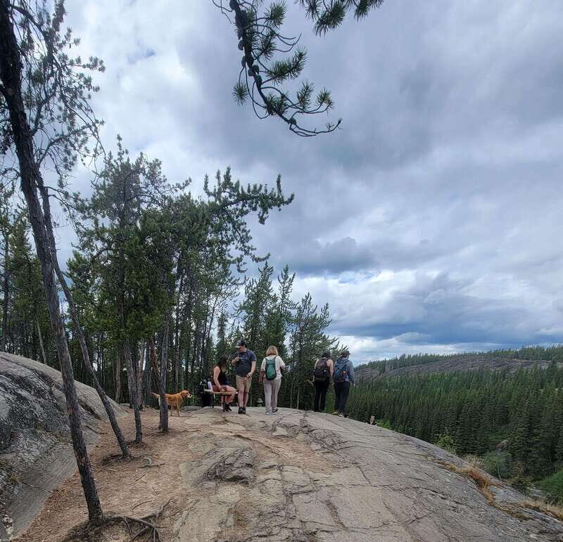 Cameron Falls Waterfall Tour - Practical Details and Value