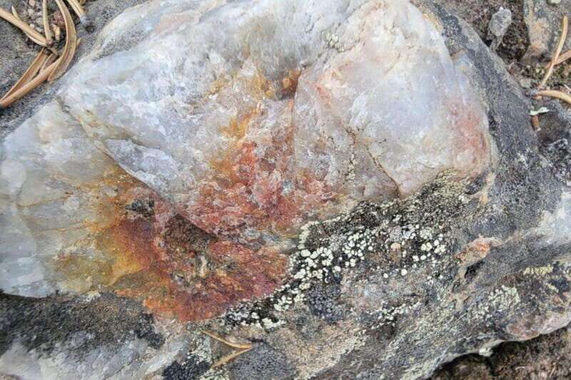 Cameron Falls Waterfall Tour - FAQ