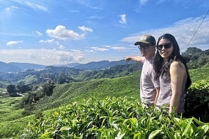 Cameron Highland Best Tour from Ipoh with Lunch ( Day Trip) - Exploring Cameron Highlands from Ipoh: A Deep Dive