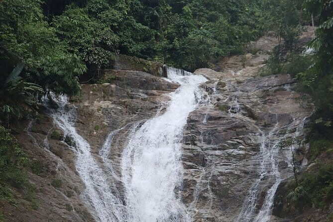 Cameron Highland Full Day Tour from KL City Private Tour - From the Travelers Perspective: What Makes It Stand Out