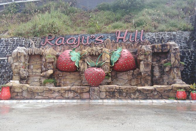 Cameron Highland Private Day Tour - What to Expect on the Cameron Highlands Private Day Tour