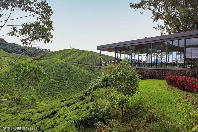 Cameron Highland Private Day Tour From Ipoh - Key Points