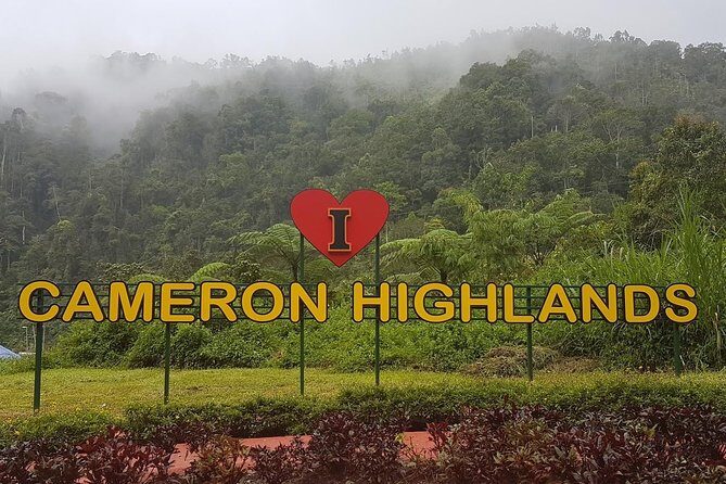 Cameron Highlands Amazing Day Trip Tour with Local Lunch - Exploring the Cameron Highlands Day Trip from Kuala Lumpur