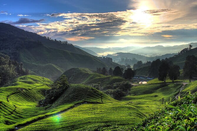Cameron Highlands & Batu Cave Private Day Tour from Kuala Lumpur - Introduction