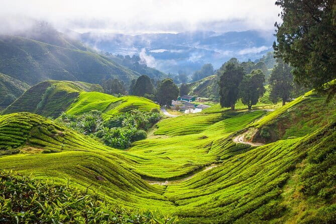 Cameron Highlands & Batu Cave Private Day Tour from Kuala Lumpur - Lata Iskandar Waterfall: A Refreshing Break