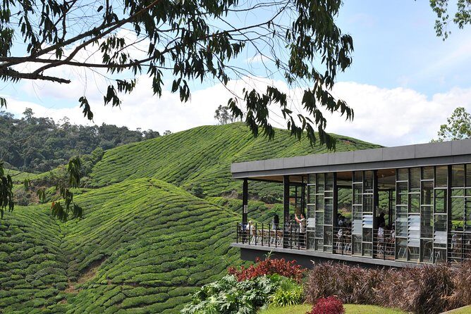 Cameron Highlands Day Tour From Kuala Lumpur (Private Tour) - Who Would Love This Tour?