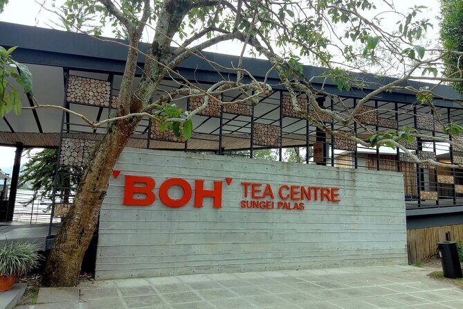 Cameron Highlands Day Tour From Kuala Lumpur (Private Tour) - The Sum Up