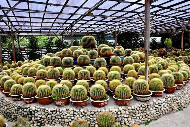 Cameron Highlands Day Tour From Kuala Lumpur (Private Tour) - FAQ