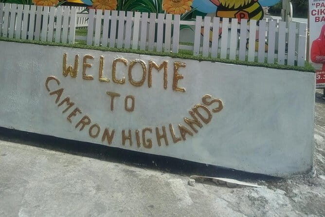 Cameron Highlands Day Trip - Who Would Love This Tour?