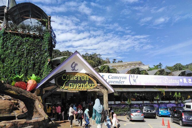 Cameron Highlands Day Trip From Kuala Lumpur - An In-Depth Look at the Cameron Highlands Day Trip