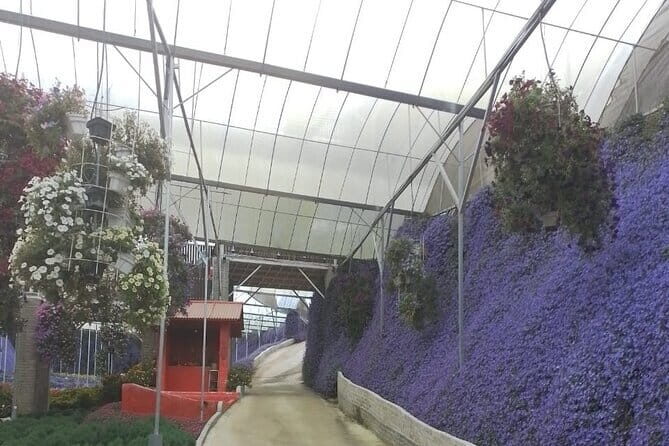 Cameron Highlands Multi Days Tour - The Experience and How It’s Valued