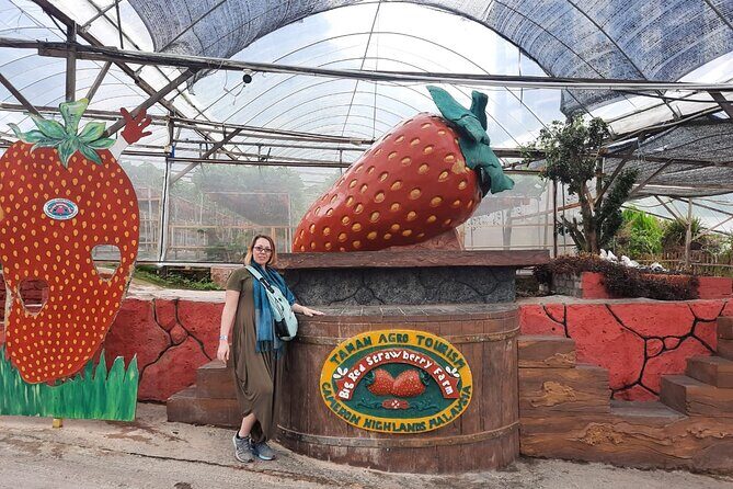 Cameron Highlands Nature & Batu caves Culture Tour - An In-Depth Look at the Cameron Highlands & Batu Caves Tour