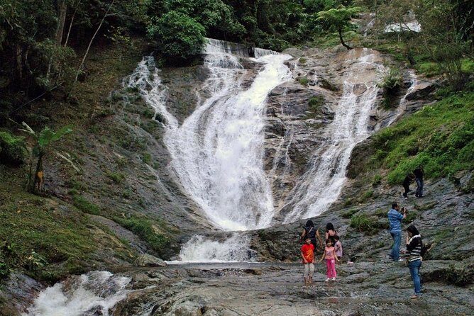 Cameron Highlands Nature Full Day Tour with Hobbitoon Village - FAQ