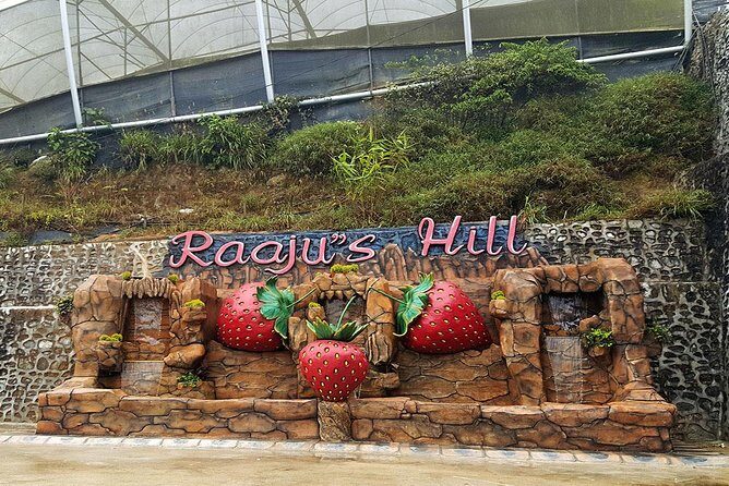 Cameron Highlands Tour From Kuala Lumpur (Private Tour) - The Itinerary in Detail