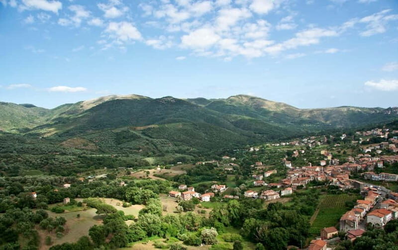 Camerota: Guided wine tasting - A Detailed Look at the Experience