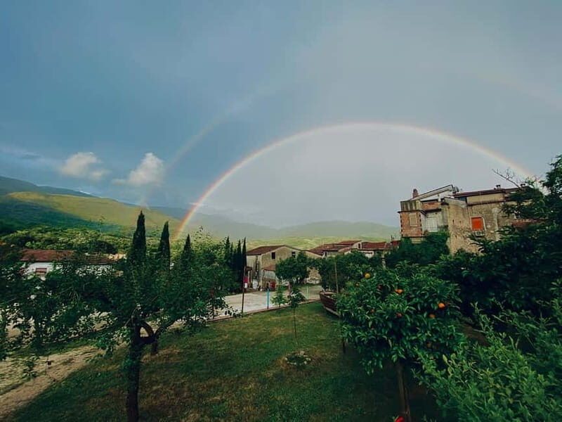 Camerota: Guided wine tasting - The Sum Up