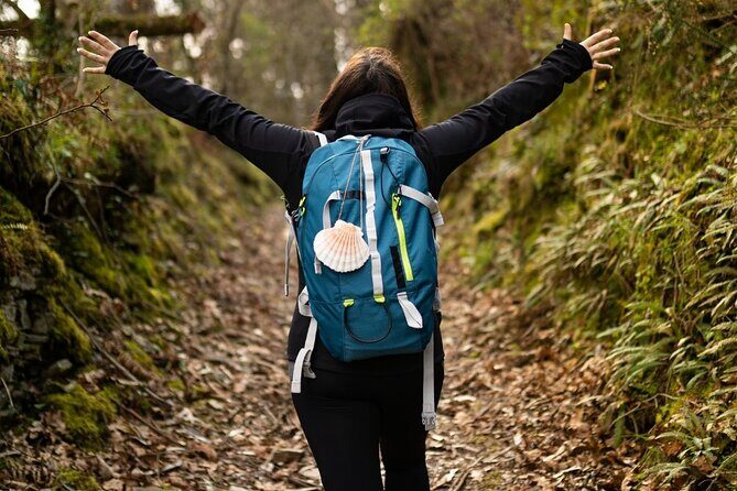 Camino de Santiago French from Sarria to Santiago de Compostela - An In-Depth Look at the Camino de Santiago French from Sarria to Santiago