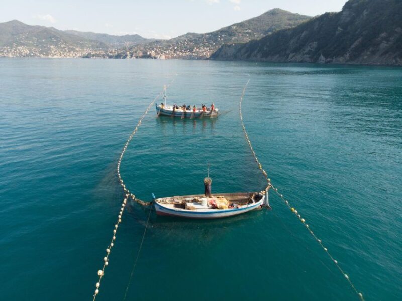 Camogli: Boat Tour on the trail of the Tonnarella - Key Points