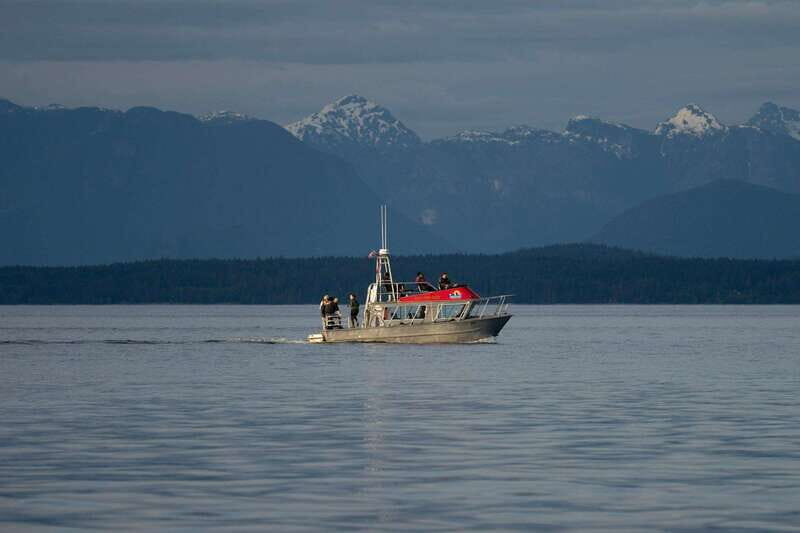 Campbell River: 6-Hour Whale Watching Boat Tour - FAQ