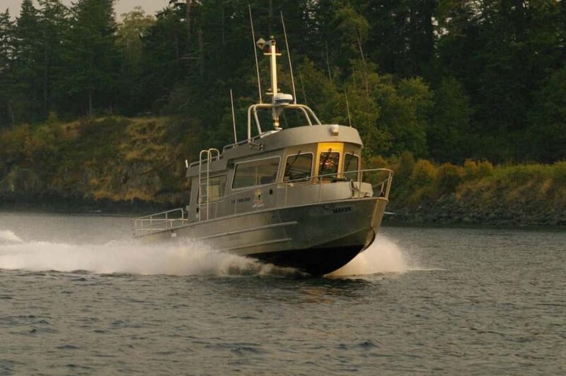 Campbell River: 7-Hour Big Animal Encounter Boat Tour - Price and Value Analysis