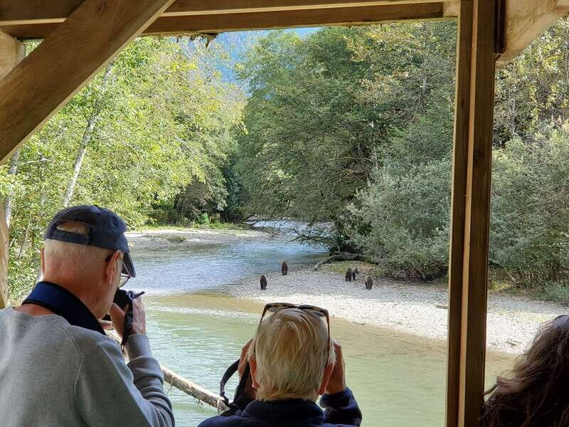 Campbell River: Deluxe Grizzlies & Indigenous Culture tour - An In-depth Look at the Experience