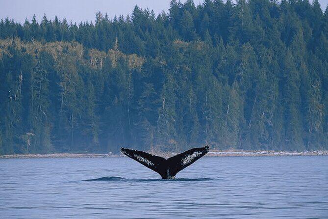 Campbell River - Fishing charters: Family-friendly & affordable - Analyzing the Value