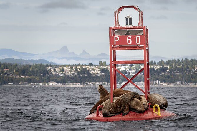 Campbell River - Fishing charters: Family-friendly & affordable - Who Should Consider This Tour?