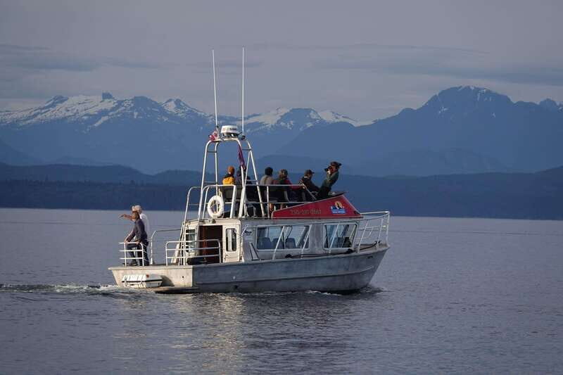 Campbell River: Spring Bear Watching & Waterfalls Boat Tour - FAQs