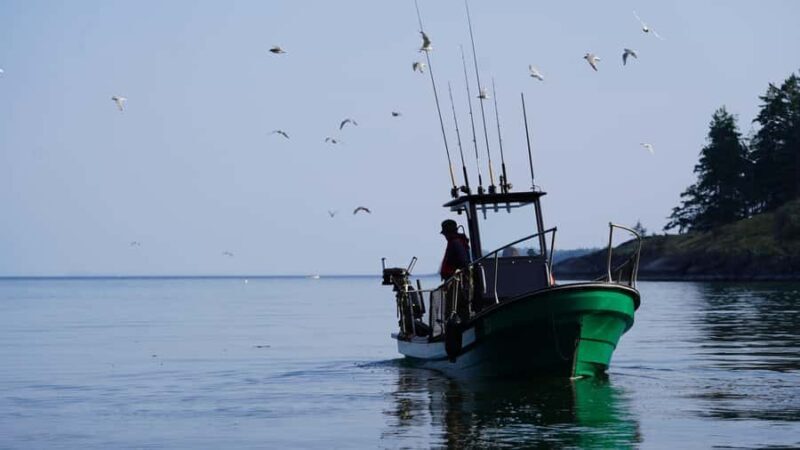 Campbell River - Whale watching: Family & budget-friendly - Comfort and Practical Details