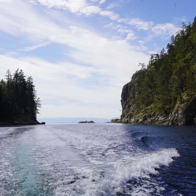 Campbell River - Whale watching: Family & budget-friendly - Who This Tour Is Best For