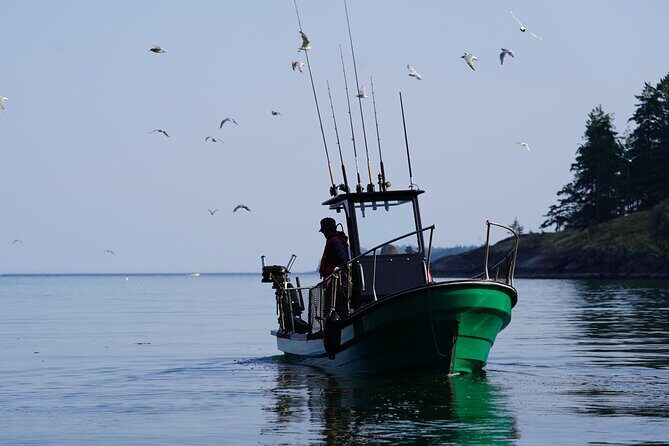 Campbell River - Whale Watching: Private & budget-friendly - Experience Overview: What to Expect