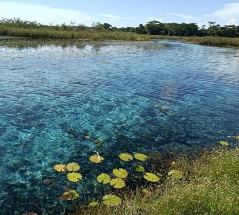 Campeche: Palenque, Sabancuy, & Palizada 2-Day Tour - Key Points