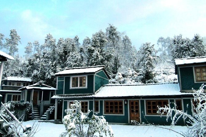 Camping in Binsar, Uttarakhand - Camping in Binsar, Uttarakhand: An Authentic Himalayan Escape