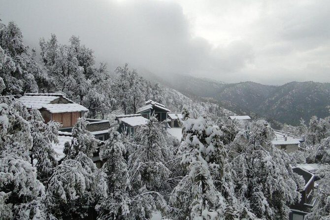 Camping in Binsar, Uttarakhand - Why Choose Camping in Binsar?