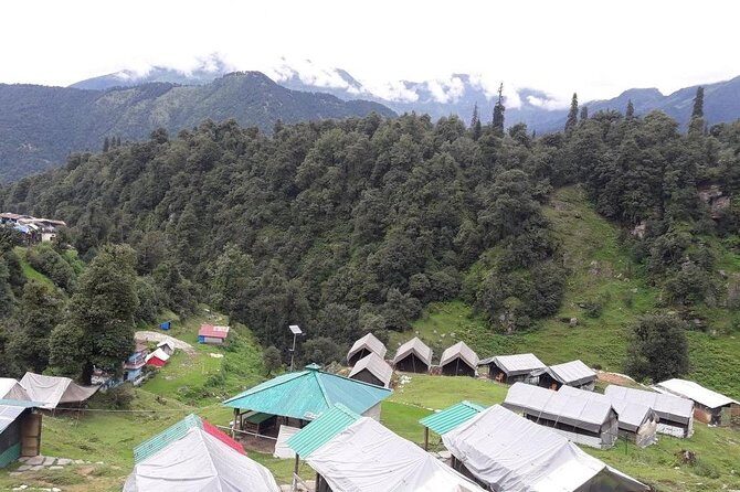 Camping in Chopta - 1 night - An In-Depth Look at the Experience