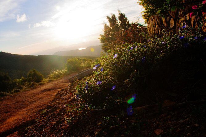Camping in Knuckles Peak Trail (Private 1-Night) - Key Points