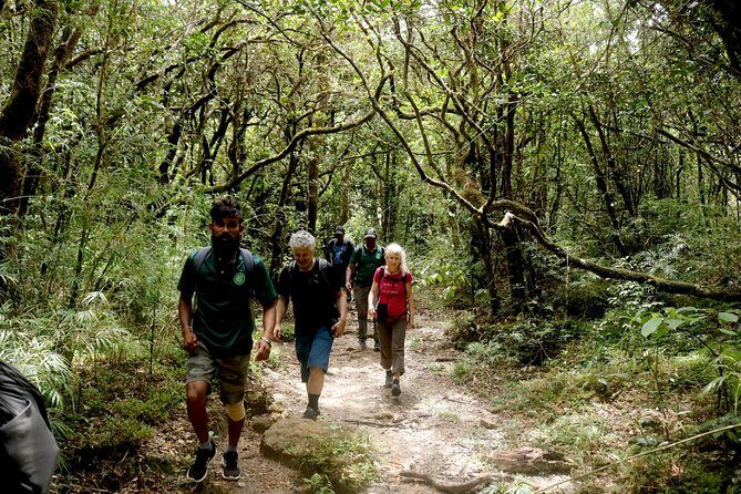 Camping in Knuckles Peak Trail (Private 1-Night) - Final Thoughts