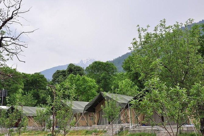 Camping in Manali, Himachal Pradesh - An In-Depth Look at the Camping Experience in Manali