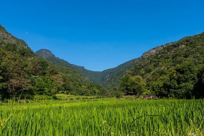 Camping in Meemure - Starting the Journey: From Kandy to the Hidden Village
