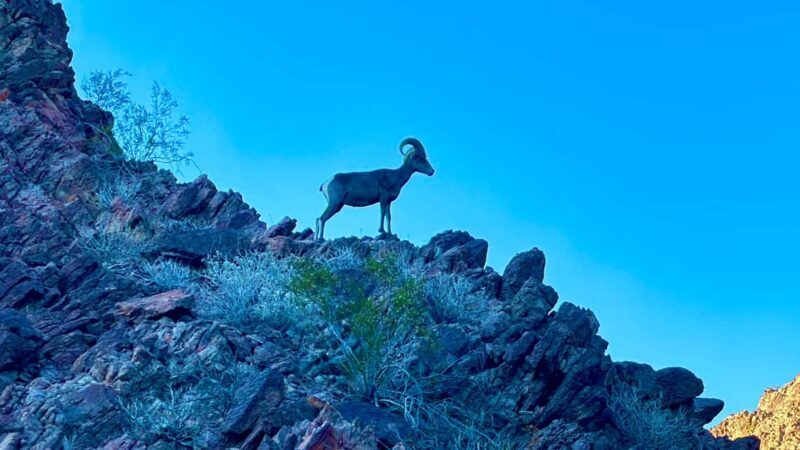 Camping Las Vegas Trip from Base of Hoover Dam, Black Canyon - The Value of the Experience