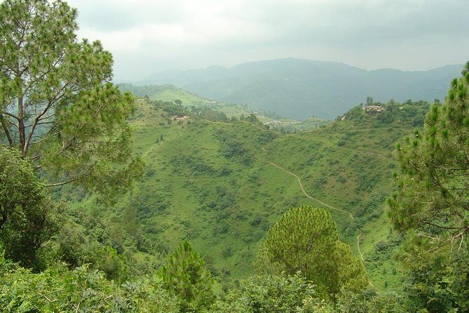 Camping near Shimla - Location and Accessibility