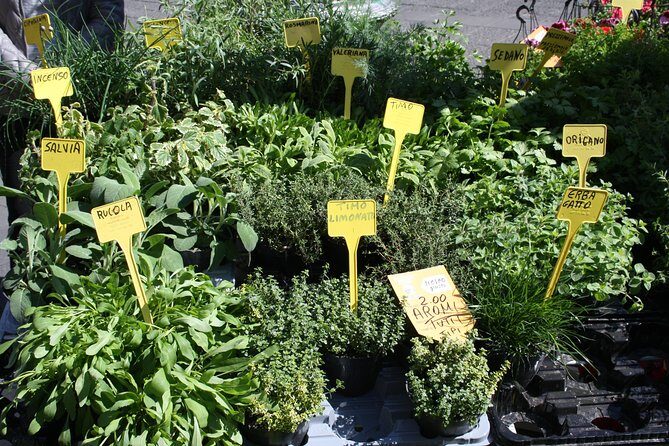 Campo dei Fiori Market and Trevi Fountain District Food & Wine Tour in Rome - FAQ