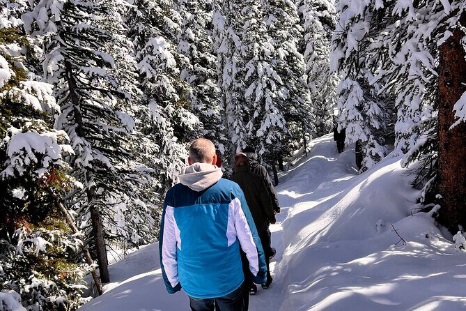 Can/Banff :Columbia Icefield, Crowfoot Glacier and Bow Lake, Tour - FAQ