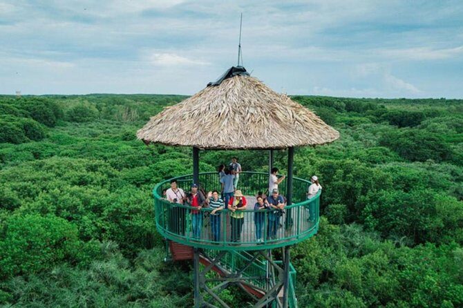 Can Gio Biosphere Private 1 day. - Discovering the Can Gio Mangrove Biosphere