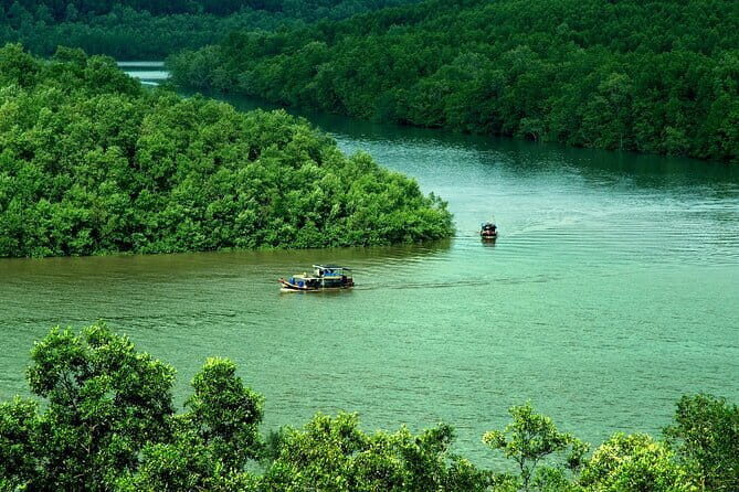 Can Gio Mangrove Forest Island Private Tour From Ho Chi Minh City - An In-Depth Look at the Can Gio Mangrove Forest Private Tour