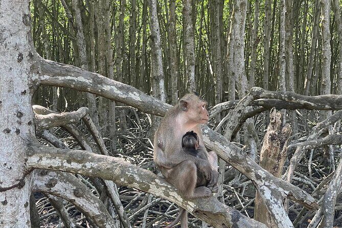 Can Gio Mangroves - Monkey Island by Motorbike and Scooter - Practical Details: What Travelers Should Know