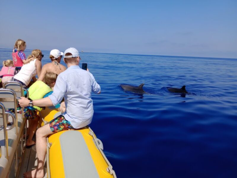 Can Picafort: Dolphin Watching Boat Tour, Swimming stop - A Close Encounter with Dolphins in Mallorca: A Detailed Review